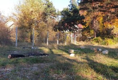 Teren intravilan 1.500 mp in Sacele – utilitati, platforma betonata si potential - 6