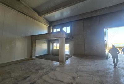 Inchiriez Depozit nou 524 MP, Timisoara, chiar langa noua descarcare autosdrada Sanandrei - 7