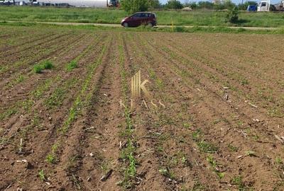 TEREN INTRAVILAN - MOARA VLASIEI - 1