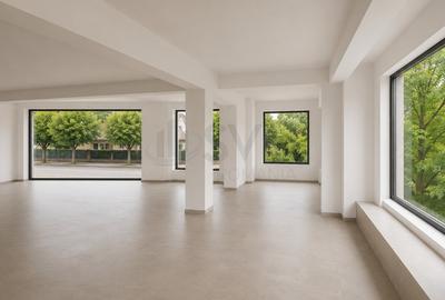 Spațiu comercial, de 100 mp, în Iancu Nicolae - 3