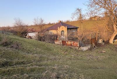 Casă cu 4 camere cu Teren 6294 Mp în Cerbu - 8