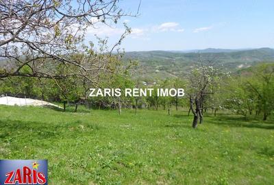 Teren de 3658 mp, în Bobicești - 2