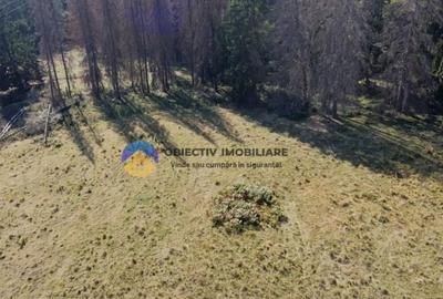 Teren de vanzare 5000 mp Piatra Neam? - 6
