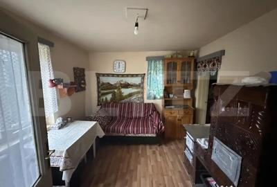 Casă cu 4 camere cu Teren 3000 Mp în Cășeiu - 16