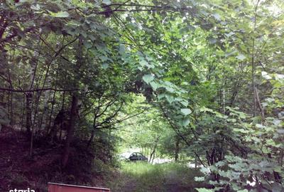 Spațiu comercial, în Brazi - 7