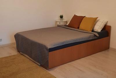 Garsonieră semidecomandată în Costin Georgian - 1