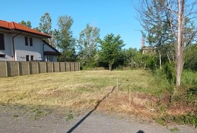 Vanzare Lot Teren 743 mp Zona Pod Baneasa Salubritatii - 1