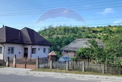 Casă cu 3 camere cu Teren 9500 Mp în Benesat - 2