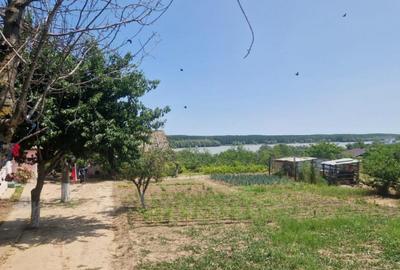 MAHMUDIA-TERENURI SI CASE - 1