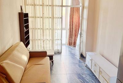 Apartament cu 2 camere în Ciurea - 7