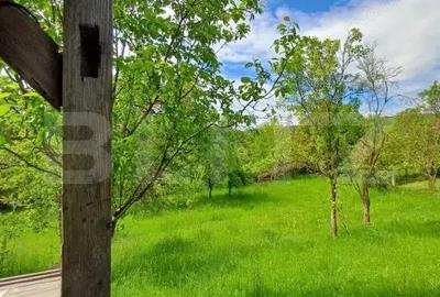 Casă cu 3 camere cu Teren 4873 Mp în Moldovenești - 8