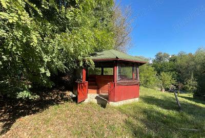 Proprietate deosebita in Ocolis Proprietate deosebita in Ocolis - 3