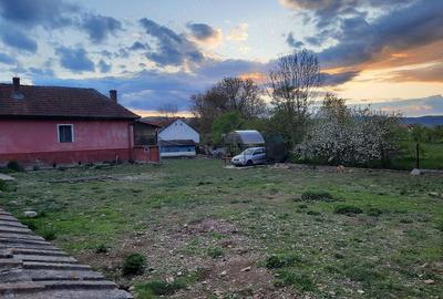 Casă cu 3 camere cu Teren 3505 Mp în Bretea Română - 1