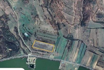 De vanzare Teren la Dunare - BERZASCA - 2