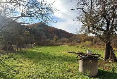 Casă cu 4 camere cu Teren 3100 Mp în Câmpuri - 4