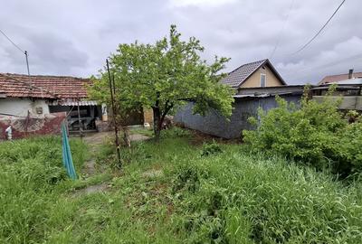 Teren Construcții intravilan de 420 mp, în Palazu Mare - 3