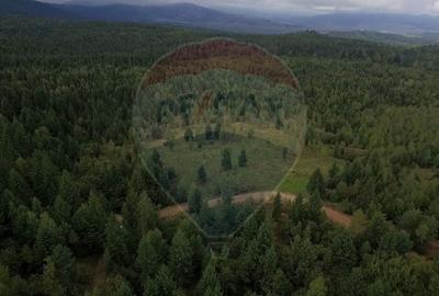 Teren agricol extravilan de 68607 mp, în Călățele - 15