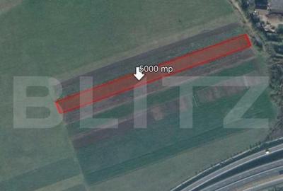 Teren de 5000 mp, Stupini - 1