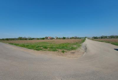 Lot de casa de 583mp, deschidere 30m, Ciofliceni - Snagov! - 6