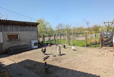 Casă cu 3 camere cu Teren 1000 Mp în Foeni - 4