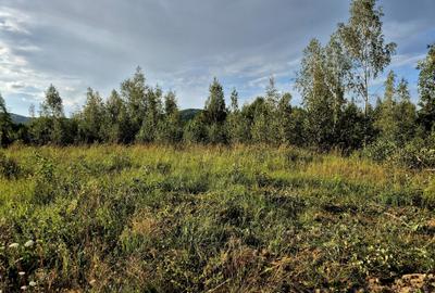 Teren zona Sinca Noua, jud Brasov, comision 0%, plata in 2 rate - 2