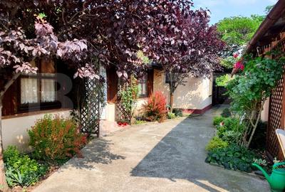 Casa individuala, 5 camere, Su=160mp, St=1070mp, Dumbravita - Casa Bunicii Casa individuala, 5 camere, Su=160mp, St=1070mp, Dumbravita - Casa Bunicii - 7