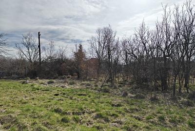 Spațiu comercial, în Lintești - 8