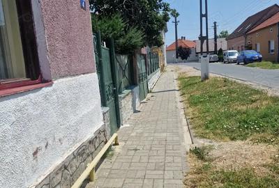 Casa de vanzare aproape de strand termal ?i centru Deta la 45 km de Timisoara - 3