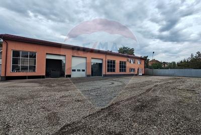 Spatiu industrial 160mp, curte 1400mp, birouri 105mp, de inchiriat - 1