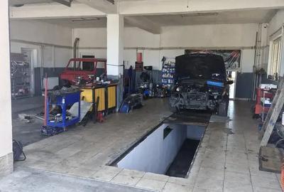 Spațiu comercial, de 150 mp, în Careiului - 1