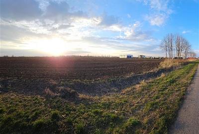 Teren de vanzare  - Caciulati - Ilfov - 1