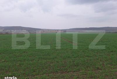 Teren de 4200 mp, în Central - 1