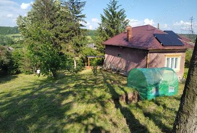 Casă cu 3 camere cu Teren 1400 Mp în Schitu Scoicești - 3