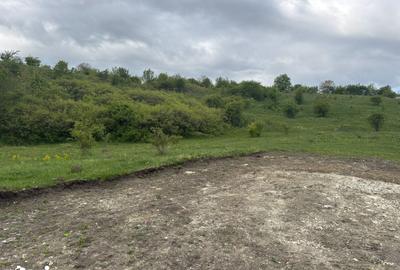 Teren de 1000 mp, în Apahida - 2