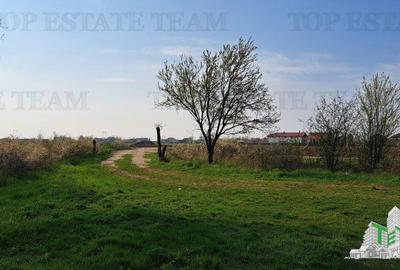 Teren 1171mp la intrare in Palanca langa Raul Sabar - 8