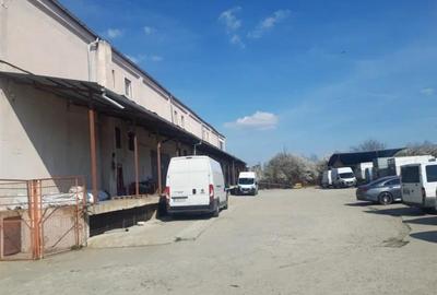 Spatii depozitare - productie Timisoara - 3