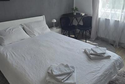 Garsonieră nedecomandată în Buziașului - 4