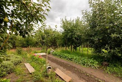 Casă cu 3 camere cu Teren 466 Mp în Central - 10