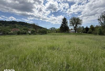 Teren de 1200 mp, în Provița de Sus