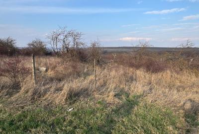 Spațiu comercial, în Fălticeni - 3