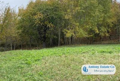 Teren de 1870 mp, în Paleu