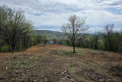 Teren de 6704 mp, în Bârsău - 1