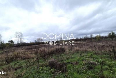 Spațiu comercial, în Curtișoara - 2