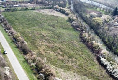 Teren intravilan Balint 22.500 mp - 11