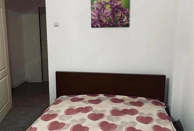 Apartament 2 camere , Central , Pet Friendly - 5