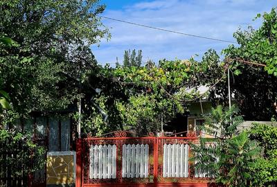 Teren cu casa in Cobia - 8