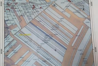 Teren de 5000 mp, în Mănăstirea Doamnei - 3
