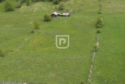 Spațiu comercial, în Pleșa - 3