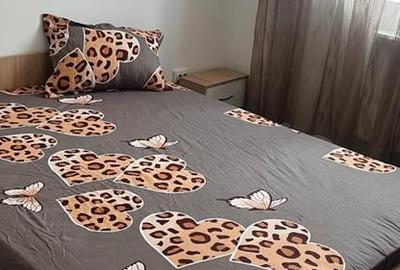 Apartament cu 2 camere decomandat în Sălaj - 18