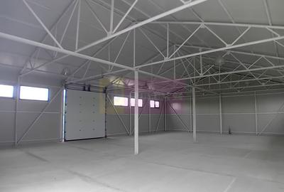 Spațiu industrial, de 216 mp, în Măgureni - 2